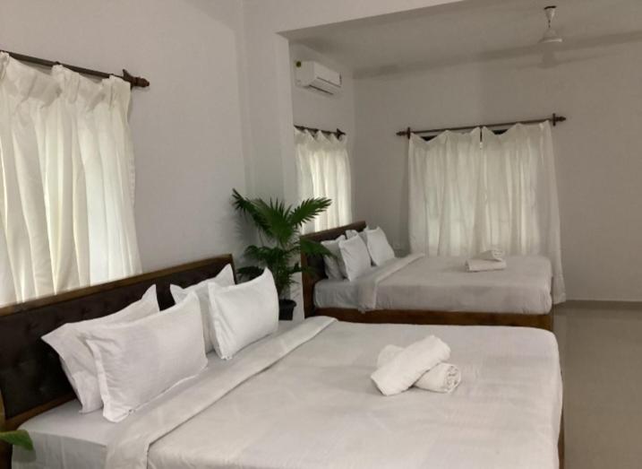 Guest house Palolem White House *