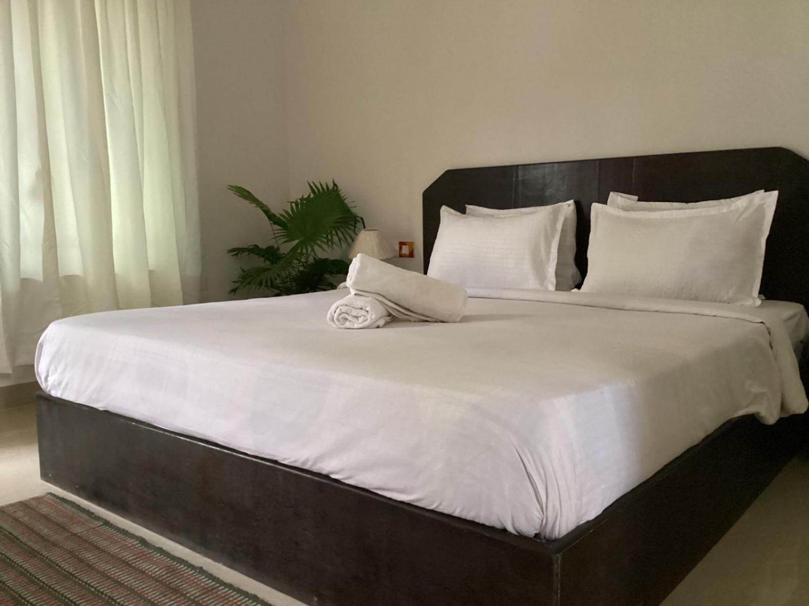 Palolem White House Guest house